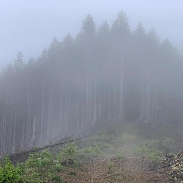 Trail Running | 100 Miles across the Oregon Coastal Range